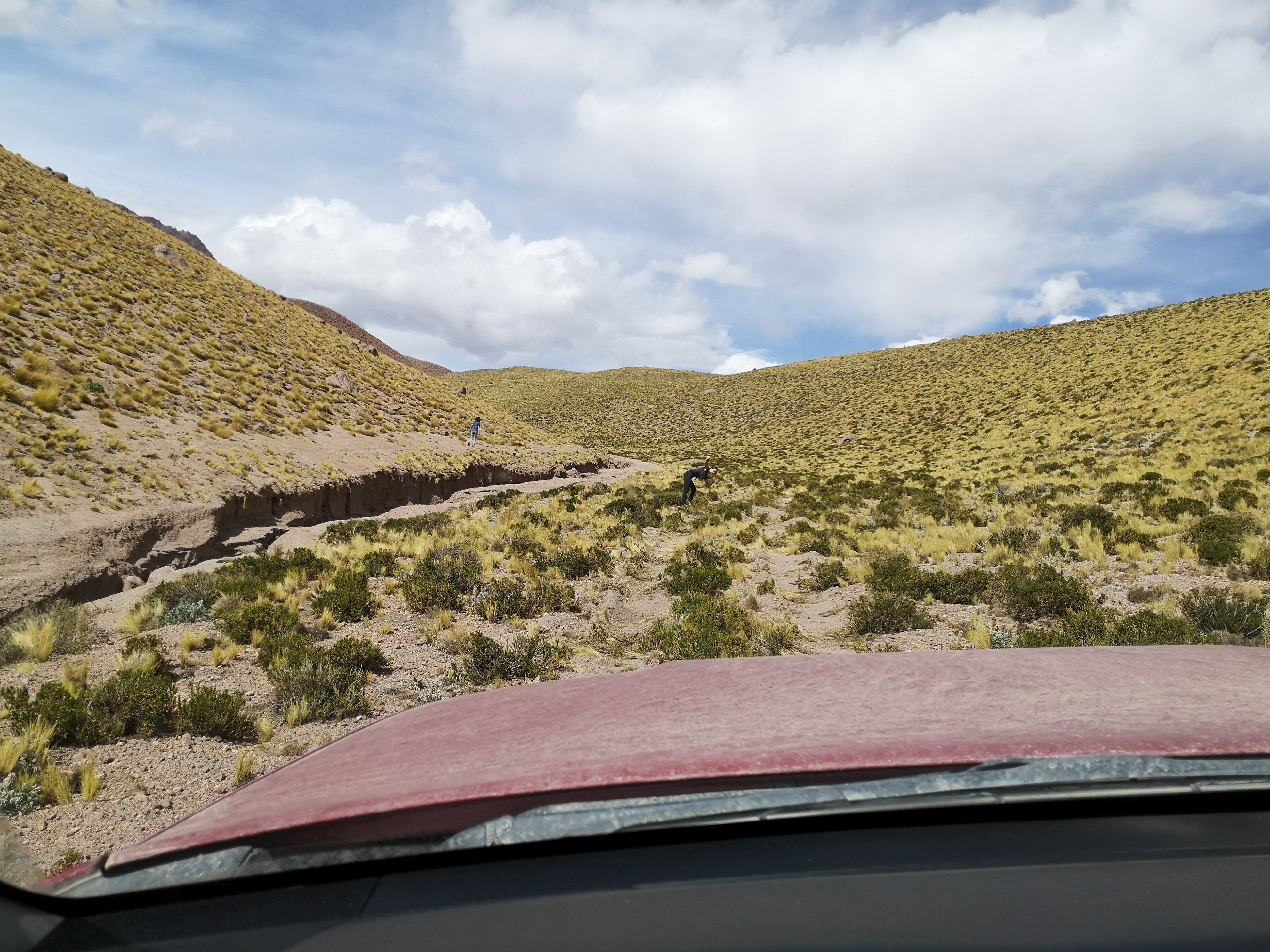 Route Salar del Surire