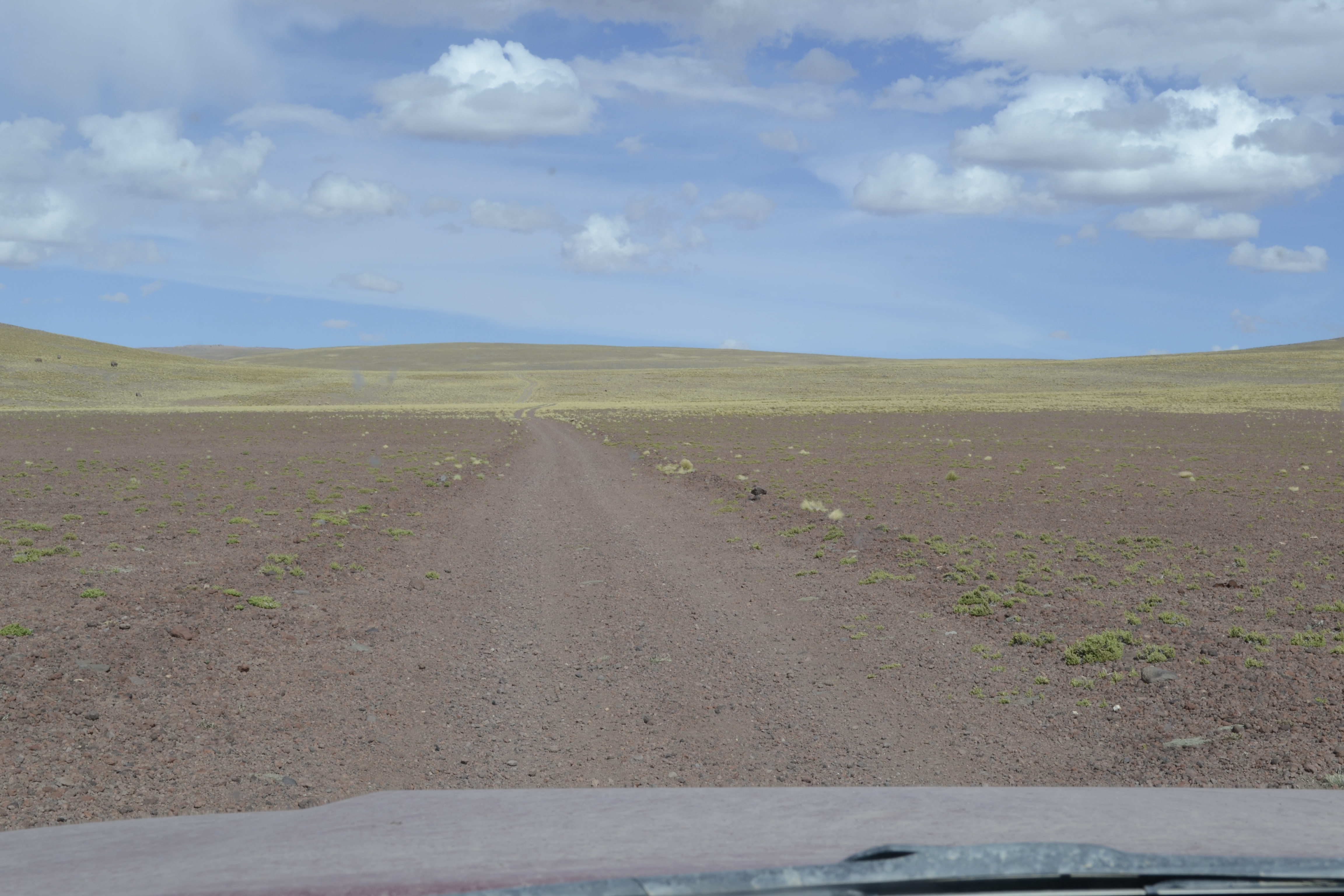 Route Salar del Surire