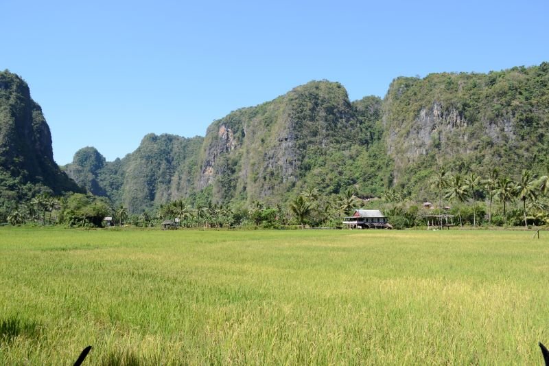 Zoomer sur l'image : Rammang-Rammang