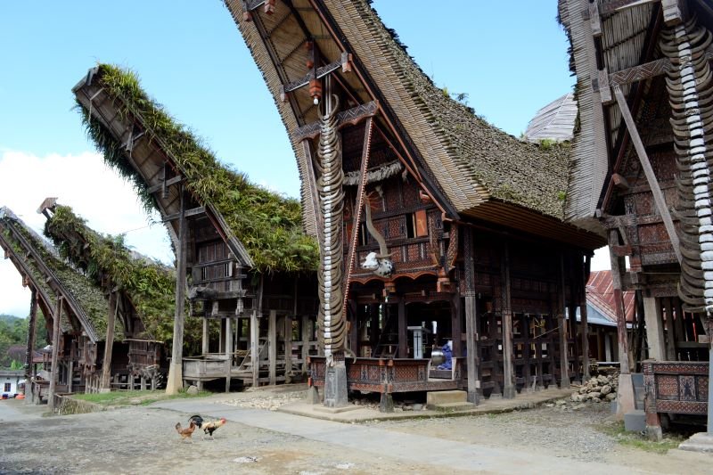 Zoomer sur l'image : Village Toraja