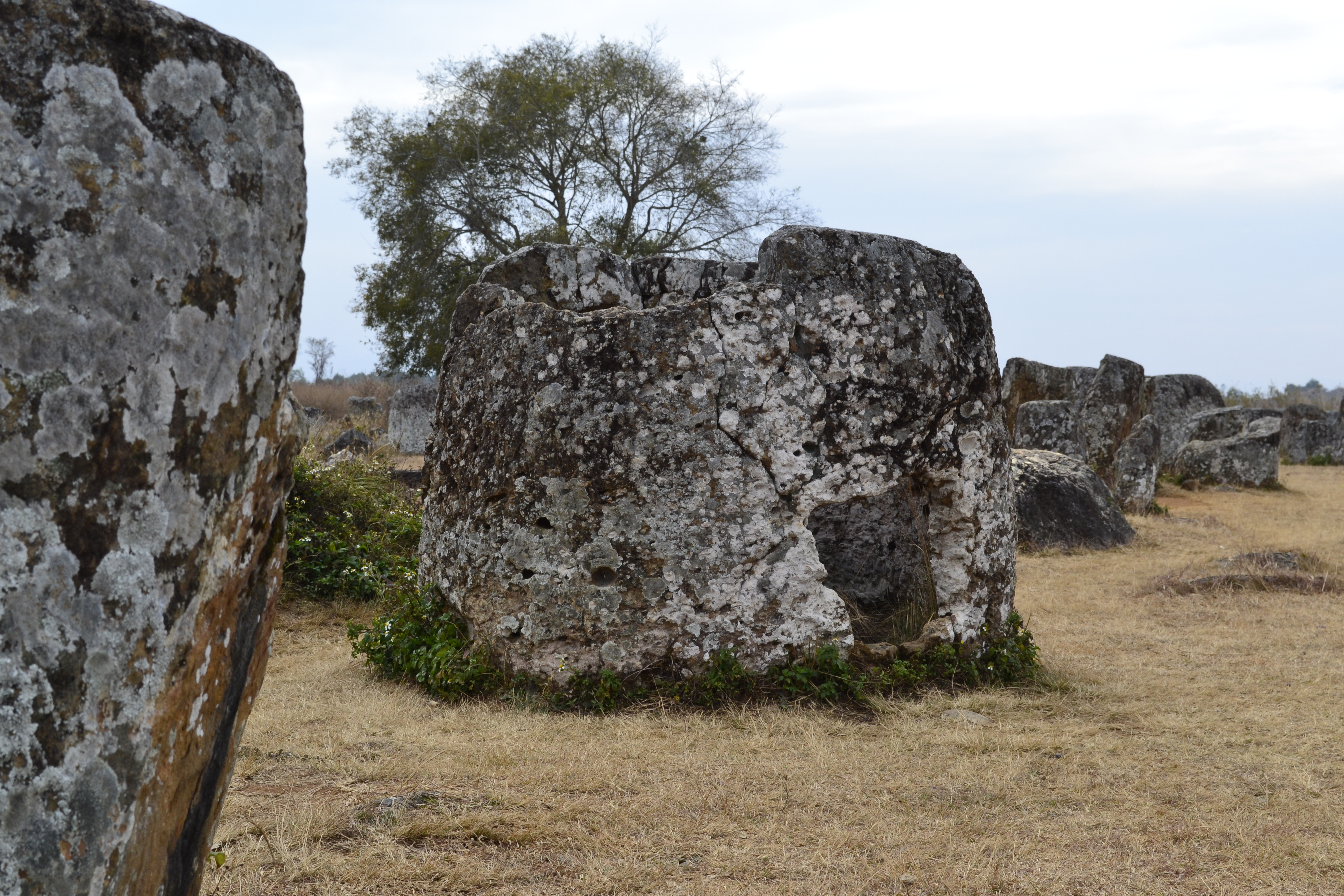 Zoomer sur l'image : Plaine des Jarres site 1