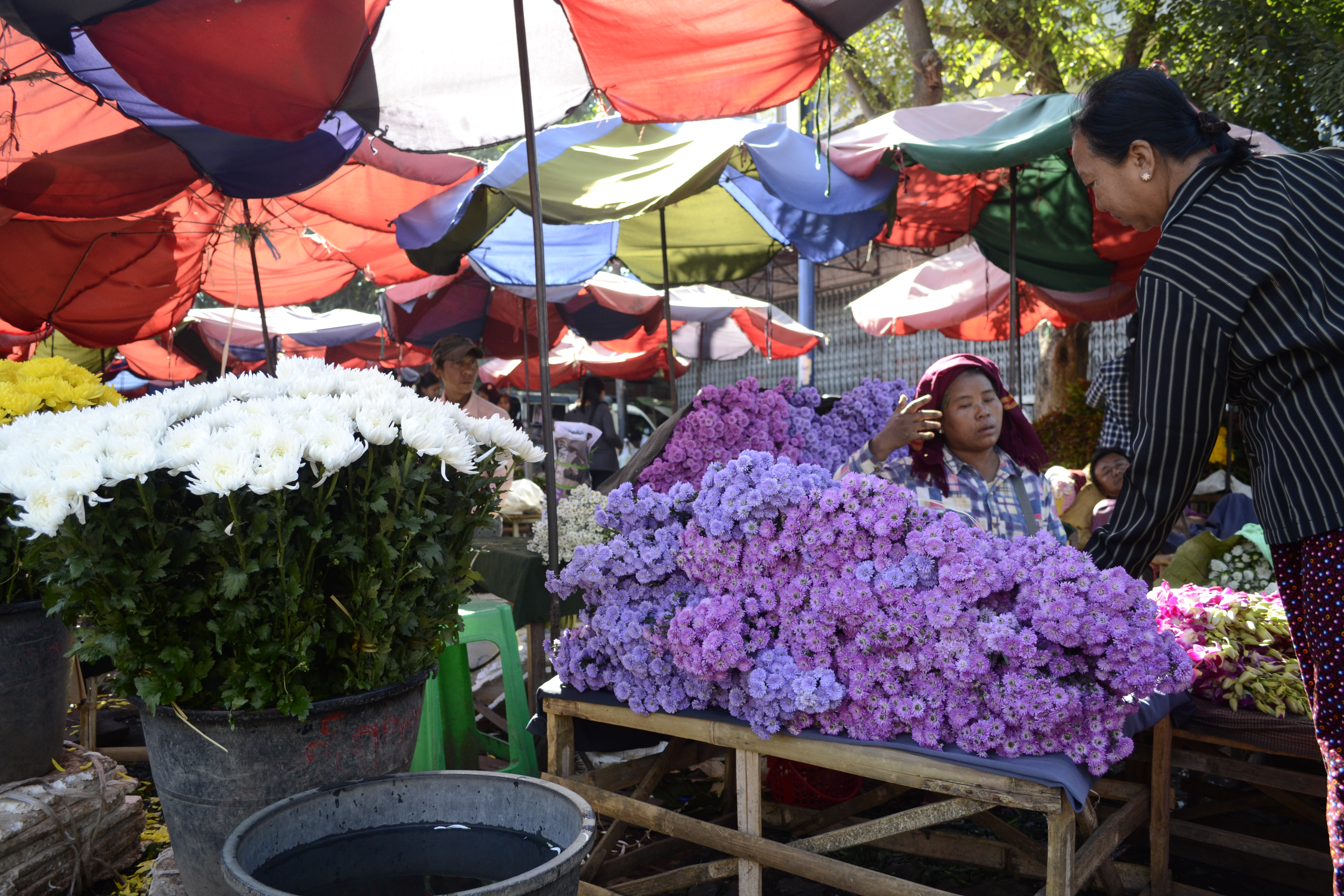 Zoomer sur l'image : Mandalay