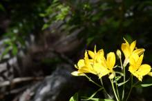 _dsc0474_original