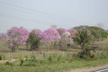 dsc0120_original