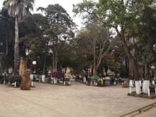 img-20220804-104219_original