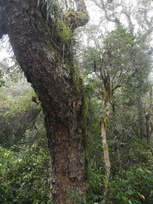 img-20220805-102911_original