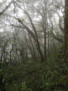 img-20220805-104414_original