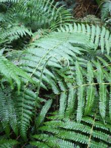 img-20220805-112603_original