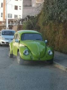 Sucre, la ville aux coccinelles
