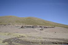Elevage de lamas