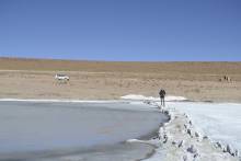 Laguna Kollpa