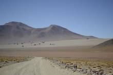Désert de Dali