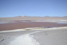 Laguna Colorada