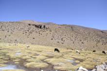 Paysage Bolivien