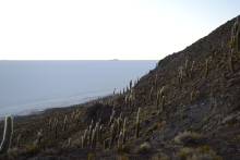 Ile Pescadores