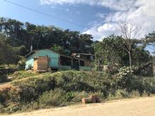 Habitations en bois