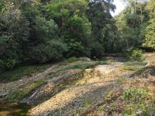 Parc Amboro