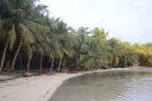 ile aux Nattes