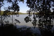 Lac Parc Ankarafantsika