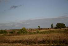Steppe Malgache