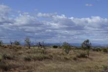 Campagne Malagasy