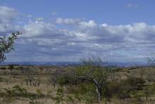 Campagne Malagasy