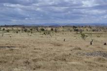 Campagne Malagasy