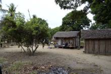 Habitation traditionnelle