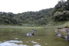 Montagne d'Ambre