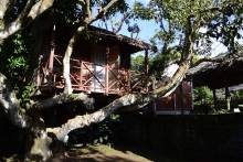 Chambres au Relais de la Montagne d'Ambre