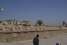Allée de Sphinx à tête de bélier