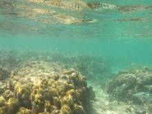 Fonds marins à Masilok