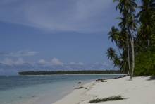 Masilok Fishing Camp
