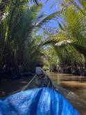 Mangroves