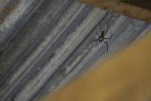 _dsc0668_original