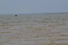 _dsc2012_original