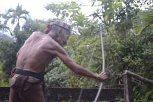 Les Mentawais